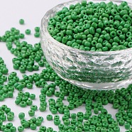 8/0 Glass Seed Beads, Opaque Colours Seed, Small Craft Beads for DIY Jewelry Making, Round, Round Hole, Pale Green, 8/0, 3mm, Hole: 1mm, about 10000pcs/pound(SEED-US0003-3mm-47)