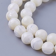 Shell Beads Strands, Round, 8~8.2mm, Hole: 1mm, about 52pcs/strand, 15.98 inch(40.6cm)(SSHEL-E571-39-8mm)