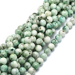 Natural Chrysocolla Beads Strands, Round, 6~6.5mm, Hole: 0.8mm, about 63pcs/strand, 15.55''(39.5cm)(G-E576-04A)