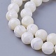 Shell Beads Strands(SSHEL-E571-39-8mm)-1