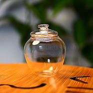 Mini Glass Jar, Canister, with Lid, for Dollhouse Accessories Pretending Prop Decorations, Clear, 30x36mm(BOTT-PW0001-246D)