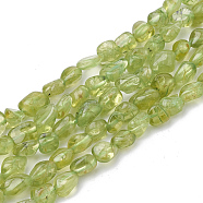 Natural Peridot Beads Strands, Nuggets, 2~19x3~8x2~7mm, Hole: 1mm, about 50~55pcs/strand, 15.55 inch(G-S339-15)