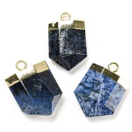 Natural Sodalite Pendants, Faceted Bullet Charms with Rack Plating Golden Plated Brass Findings, 24.5~25x16~16.5x7~7.5mm, Hole: 2.3mm(G-M431-05G-07)