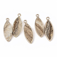 Edge Golden Plated Natural Picture Jasper Pendants, with Iron Loop, Horse Eye, 28.5~30.5x10.5x3.5mm, Hole: 1.6mm(G-T131-06I)