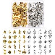 50Pcs 50 Style Tibetan Style Alloy Charms, Mixed Shapes, Antique Silver & Antique Golden, 10~22.5x4~18x1~5mm, Hole: 1~3mm, 1pc/style(TIBE-YW0001-03)