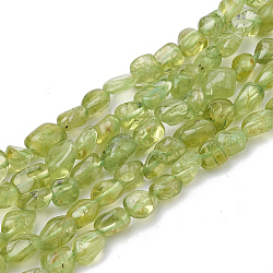 Natural Peridot Beads Strands, Tumbled Stone, Nuggets, 2~19x3~8x2~7mm, Hole: 1mm, about 50~55pcs/strand, 15.55 inch(G-S339-15)