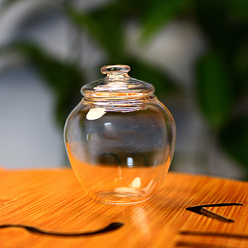 Mini Glass Jar, Canister, with Lid, for Dollhouse Accessories Pretending Prop Decorations, Clear, 30x36mm