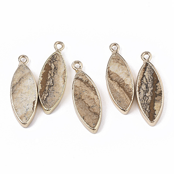 Edge Golden Plated Natural Picture Jasper Pendants, with Iron Loop, Horse Eye, 28.5~30.5x10.5x3.5mm, Hole: 1.6mm