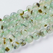Natural Prehnite Beads Strands, Round, Pale Green, 8mm, Hole: 1mm, about 48pcs/strand, 15.5 inch(X-G-G457-8mm-03)
