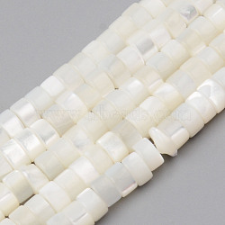 Natural Trochid Shell/Trochus Shell Beads Strands, Flat Round, White, 4x2mm, Hole: 1mm, about 163pcs/strand, 14.57 inch(37cm)(X-SHEL-R049-024)