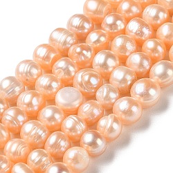 Natural Cultured Freshwater Pearl Beads Strands, Potato, Grade A, PeachPuff, 6~8.5x6.5~7.5mm, Hole: 0.7mm, about 52pcs/strand, 13.86''(35.2cm)(PEAR-E018-19B)