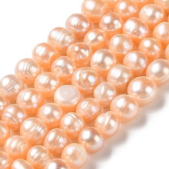 Natural Cultured Freshwater Pearl Beads Strands, Potato, Grade A, PeachPuff, 6~8.5x6.5~7.5mm, Hole: 0.7mm, about 52pcs/strand, 13.86''(35.2cm)