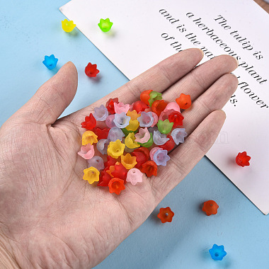 Transparent Acrylic Beads Caps(PL543)-6