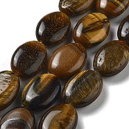 Natural Tiger Eye Beads Strands, Flat Oval, 18~18.5x13~13.5x6~6.5mm, Hole: 1.2mm, about 11pcs/strand, 7.76 inch(19.7cm)(G-P528-M09-01)