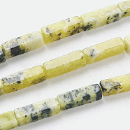 Natural Yellow Turquoise(Jasper) Beads Strands, Cuboid, 13~14x4~4.5x4~4.5mm, Hole: 1.2mm, about 29~30pcs/strand, 15.74  inch~16.5 inch(40~42cm)(X-G-G837-15)