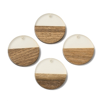 Luminous Glow in the Dark Wood & Resin Pendant, Flat Round Charms, Camel, 28x3mm, Hole: 2mm