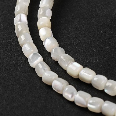 Natural Trochus Shell Beads Strands(BSHE-S304-09B)-3