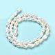 Natural Cultured Freshwater Pearl Beads Strands(PEAR-E016-152)-3