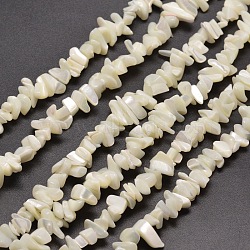 Natural White Mother of Pearl Shell Chip Bead Strands, Shell Shards, 5~15x5~8mm , Hole: 1mm, about 31.5 inch(X-G-M205-63)
