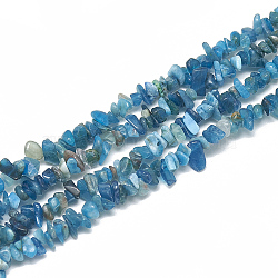 Natural Apatite Beads Strands, Chip, 3~11x3~5x1~4mm, Hole: 1mm, about 380~400pcs/strand, 33 inch(X-G-S315-24)