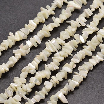 Natural White Mother of Pearl Shell Chip Bead Strands, Shell Shards, 5~15x5~8mm , Hole: 1mm, about 31.5 inch
