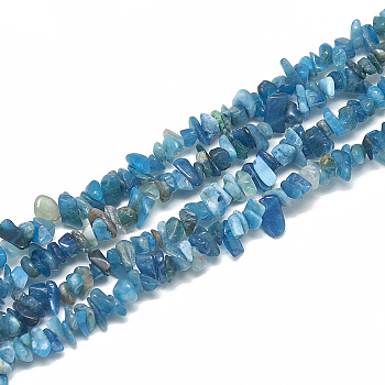 Natural Apatite Beads Strands, Chip, 3~11x3~5x1~4mm, Hole: 1mm, about 380~400pcs/strand, 33 inch