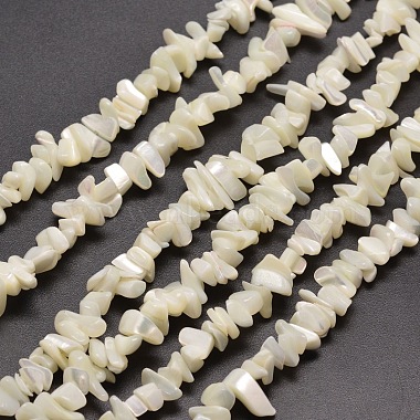 Chip White Shell Beads