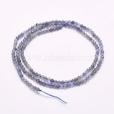 Natural Cordierite/Iolite/Dichroite Beads Strands(G-F509-15-3mm)-2