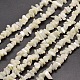 Natural White Mother of Pearl Shell Chip Bead Strands(X-G-M205-63)-1