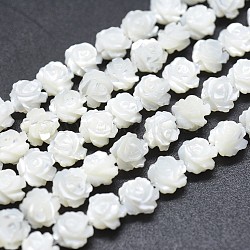 Natural White Shell Beads Strands, Mother of Pearl Shell Beads, Double-sided Rose, WhiteSmoke, 8~8.5x4~5mm, Hole: 0.8mm, about 50pcs/strand, 15.15 inch(38.5cm)(SSHEL-P015-01A-8mm)