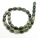Ovale mousse naturelle perles en agate brins(G-P063-01)-2