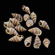 Spiral Shell Charm Pendants, Sienna, 15~20x8~11x7~9mm, Hole: 1mm, about 1270pcs/500g(SSHEL-R036-20)