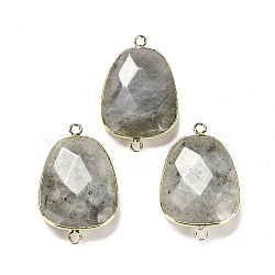 Natural Labradorite Faceted Connector Charms, Rack Plating Brass Teardrop Charms, Cadmium Free & Lead Free, 33.5~34x21x6~6.5mm, Hole: 2mm(G-F763-02G-03)