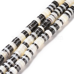 Natural Trochid Shell Beads Strands, Dyed, Flat Round, Black, 8x2~2.5mm, Hole: 1mm, about 170~171pcs/strand, 15.47~15.55 inch(39.3~39.5cm)(SSHEL-G023-02A-04)