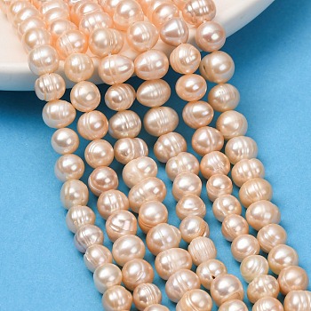Natural Cultured Freshwater Pearl Beads Strands, Potato, Grade 2A++, PapayaWhip, 7~8mm, Hole: 0.6mm, about 50pcs/strand, 13.39''(34cm)