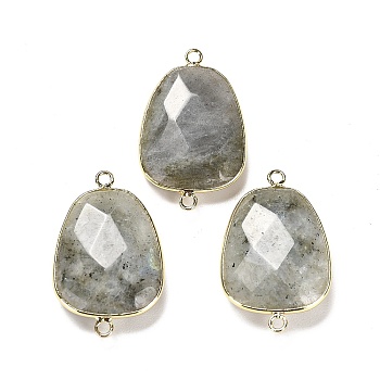 Natural Labradorite Faceted Connector Charms, Rack Plating Brass Teardrop Charms, Cadmium Free & Lead Free, 33.5~34x21x6~6.5mm, Hole: 2mm