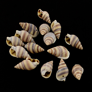 Spiral Shell Charm Pendants, Sienna, 15~20x8~11x7~9mm, Hole: 1mm, about 1270pcs/500g