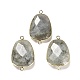 Natural Labradorite Faceted Connector Charms(G-F763-02G-03)-1