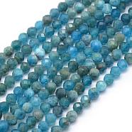 Natural Apatite Beads Strands, Faceted, Round, 4mm, Hole: 1mm, about 95pcs/strand, 15.35 inch(39cm)(G-E411-36-4mm)