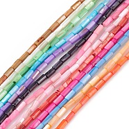 Natural Freshwater Shell Dyed Beads Strands, Column, Mixed Color, 8x4mm, Hole: 0.8mm, about 46pcs/strand, 14.96''(38cm)(SHEL-M018-11)