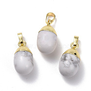 Natural Howlite Pendants, with Golden Brass Findings, Oval, 18.5x9.5mm, Hole: 3.5x6.5mm(G-F712-03A-G)