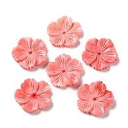 Synthetic Shell Dyed Beads, Flower, Salmon, 19x19x4mm, Hole: 1.6mm(SHEL-K007-06)