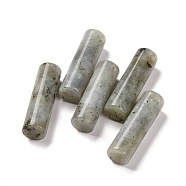 Natural Labradorite Pendants, Column, 34~36x10~10.5mm, Hole: 2mm(G-K297-A09)