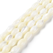 Natural Trochus Shell Beads Strands, Rice, Floral White, 8.5~9x5.5~6mm, Hole: 1mm, about 45~46pcs/strand, 15.35~15.98''(39~40.6cm)(BSHE-E030-02B)