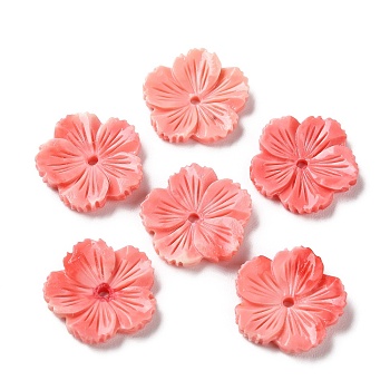 Synthetic Shell Dyed Beads, Flower, Salmon, 19x19x4mm, Hole: 1.6mm