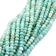 Natural Amazonite Beads Strands, Faceted, Rondelle, 5.5~6x4~4.5mm, Hole: 1mm, about 95pcs/strand, 15.59''(39.6cm)(G-E569-I06)