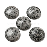 Natural Map Stone Cabochons, Flat Round, 30x7~8.5mm(G-C115-02B-20)