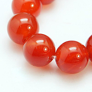 Natural Carnelian Beads Strands, Grade A, Dyed, Round, 10mm, Hole: 1mm, 19pcs/strand, 8 inch(X-G-C076-10mm-2A)