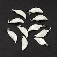 Natural Trochid Shell/Trochus Shell Pendants, Feather Charms, with Platinum Tone Iron Snap on Bails, Seashell Color, 27~29x10.5x5mm, Hole: 5x1.8mm(SSHEL-M021-09)