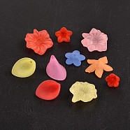 Mixed Color Transparent Acrylic Beads, Frosted, Flower Bead Caps, about 9.5~62mm in diameter, 4~24mm thick, hole: 1~5mm(FACR-MSMC001-1)